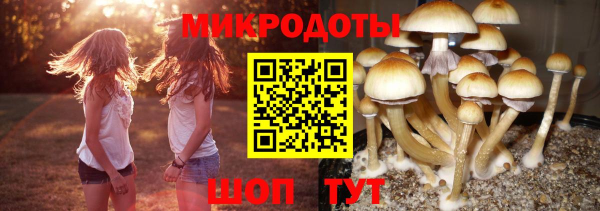 Воронеж  Галлюциногенные грибы MAGIC MUSHROOMS  Псилоцибиновые грибы GOLDEN TEACHER  хочу наркоту  Вход с VPN 
