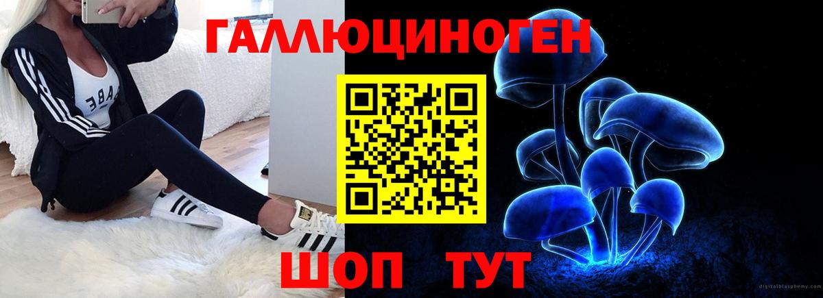 Псилоцибиновые грибы прущие грибы Воронеж